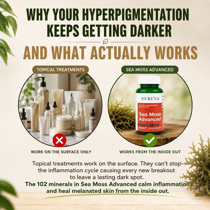 Super Food Premium Seaweed - Clearer, Brighter Skin & Dark Spot Support