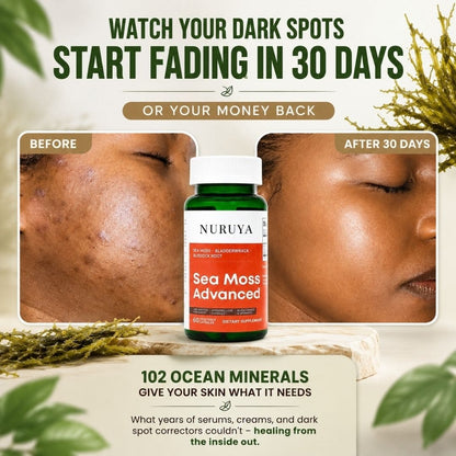 Super Food Premium Seaweed - Clearer, Brighter Skin & Dark Spot Support