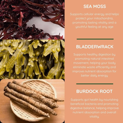Premium Seaweed Superfood – Advanced Heart & Immune Support